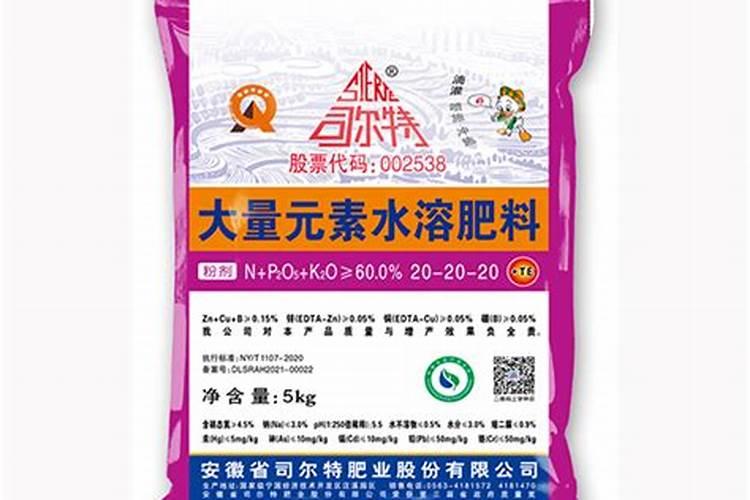 柑橘园日常管理技巧