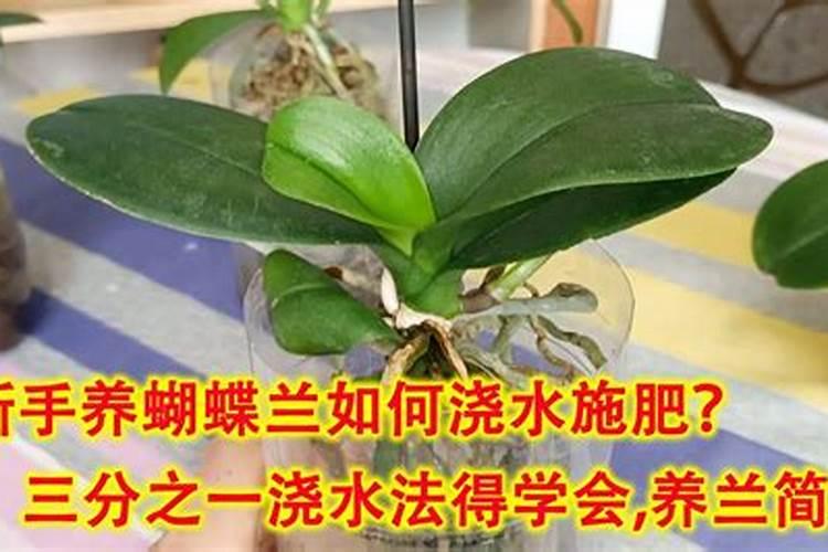 老师您好!柑橘幼树能用含氯的复合肥吗？