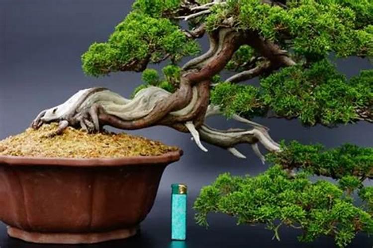 氯化钾是复合肥吗