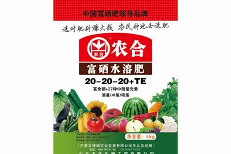 富硒西兰花怎么种