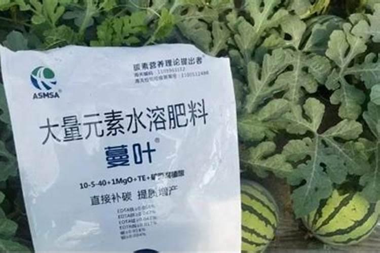 柑橘用什么水溶肥好及水溶肥施用指南
