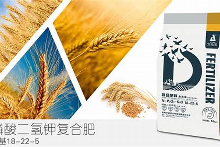 常见的氮肥有哪些？