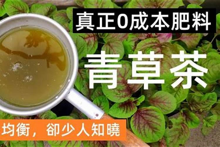 昆明七彩花生生产商