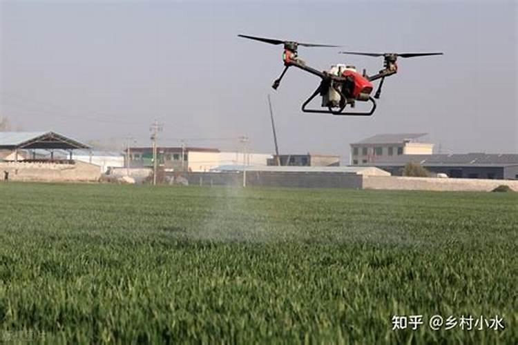 尿素当叶面肥使用方法