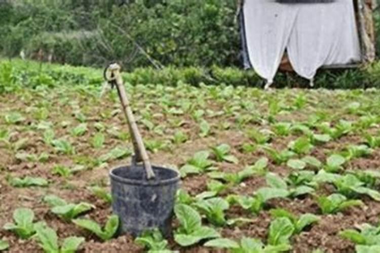 亚硫酸氢根能拆吗,还有碳酸氢根
