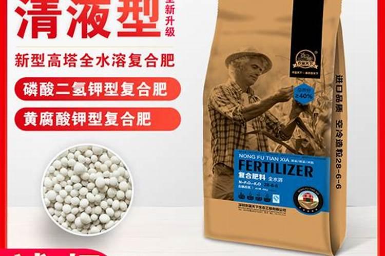 红萝卜种子怎么种植发芽快