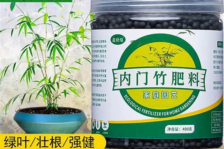 种植西瓜,主要步骤是什么？