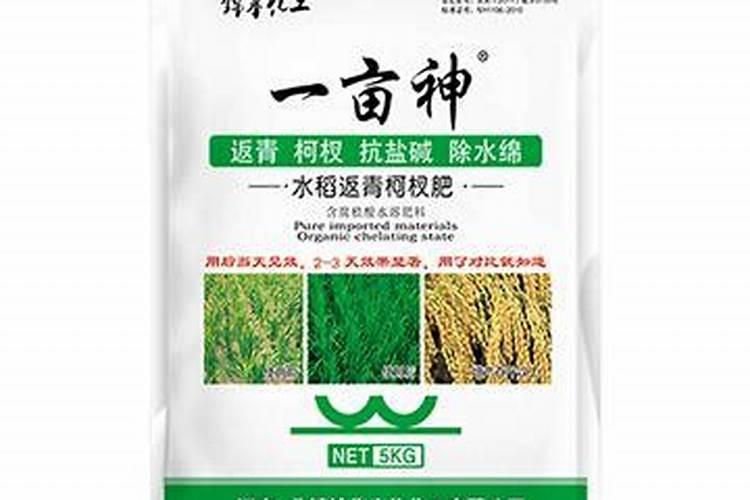 一亩小麦施25公斤二胺可以吗