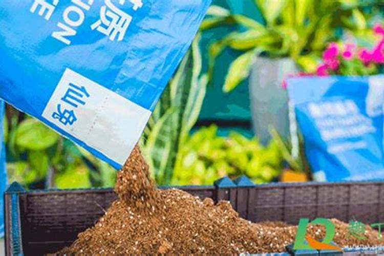 红薯打什么叶面肥增产,植物叶面肥有哪些