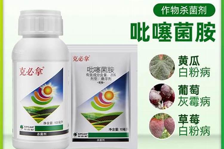 樱桃苗木的施肥追肥要注意哪些问题