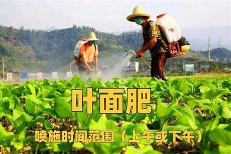 氨基酸叶面肥和磷酸二氢钾能混用吗