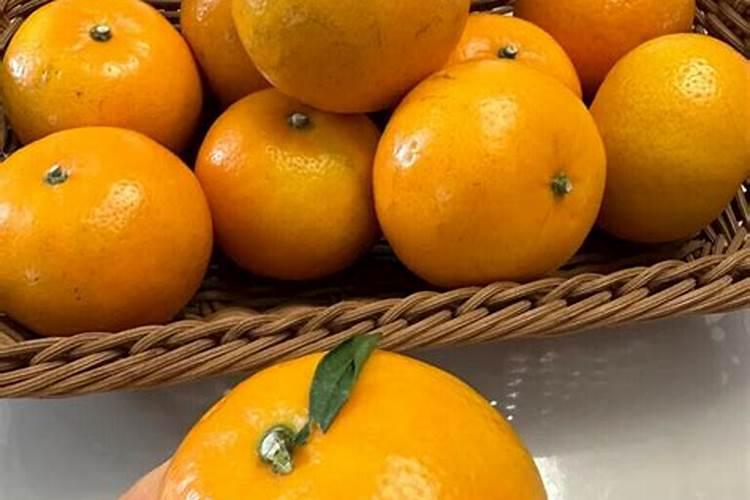 工业级焦化硫酸铵厂家排名前十