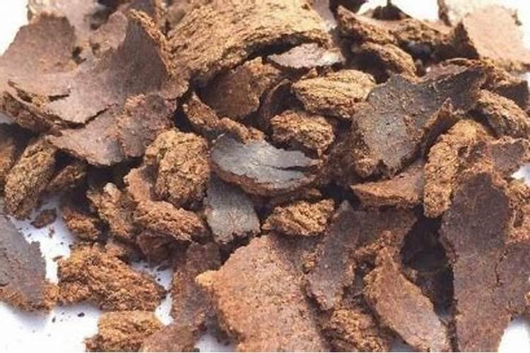 兰花施肥技巧