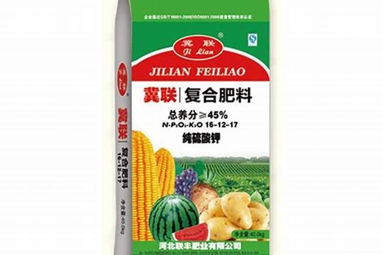 养多肉用多大的盆合适