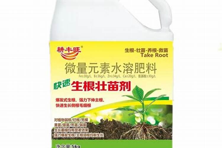什么肥料生根最快最好