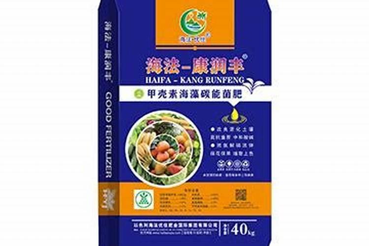 种植豆科植物为什么不需要施用氮肥？