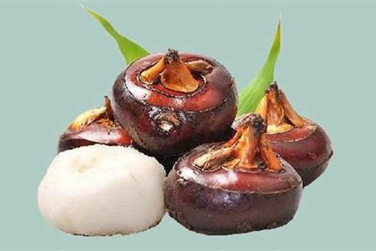 什么肥能促进茶叶树生长