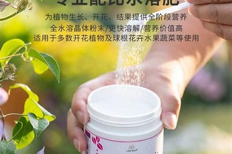 不需要种在土里的植物叫空什么