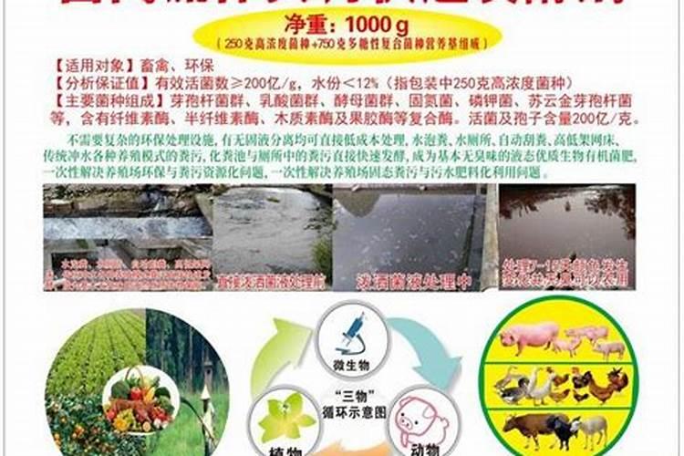 尿液可以做肥料吗