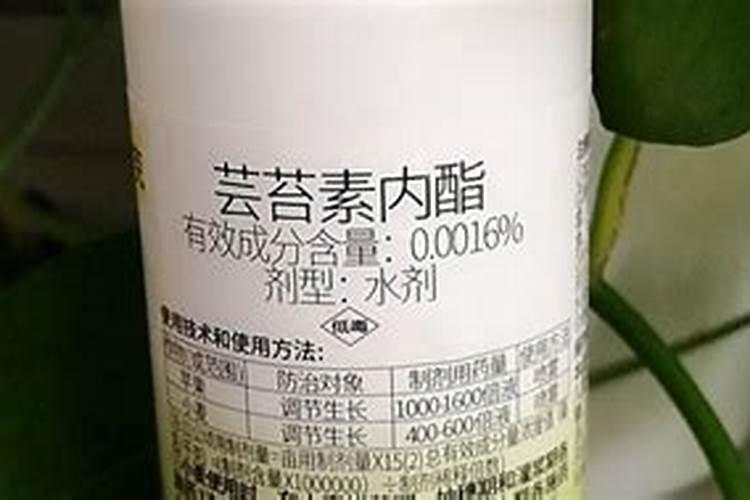 芸苔素使用技巧