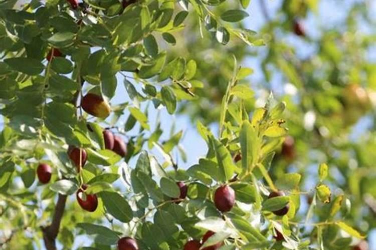 秦皇岛北斗公司简介