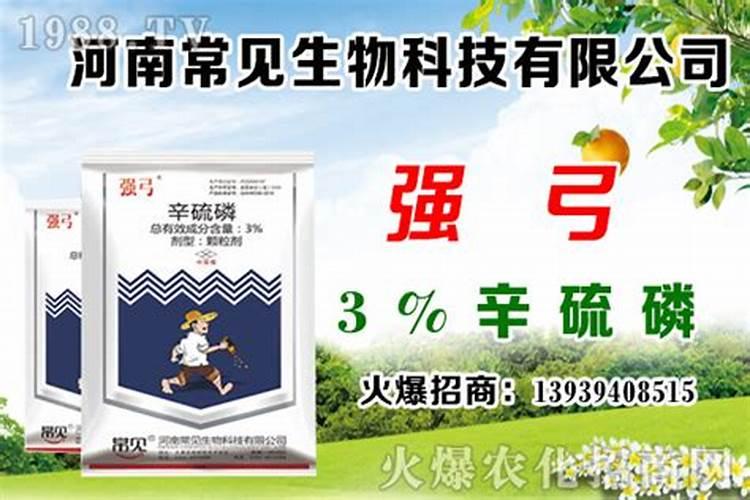 大蒜地的蛆充肥时用辛硫磷几天能把蛆杀死？
