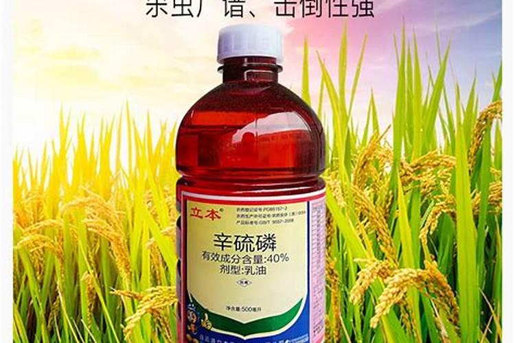 盆栽土拌辛硫麟能栽花吗？
