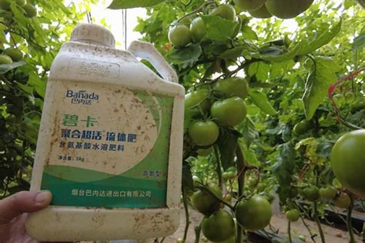 养鸡场买来的鸡粪,可以在葡萄上直接使用吗