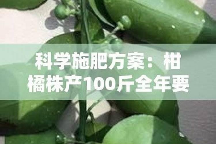 含硼的肥料有哪些