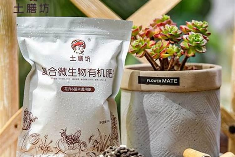 简单无臭的沤肥方法 最简单的沤土沤肥方法
