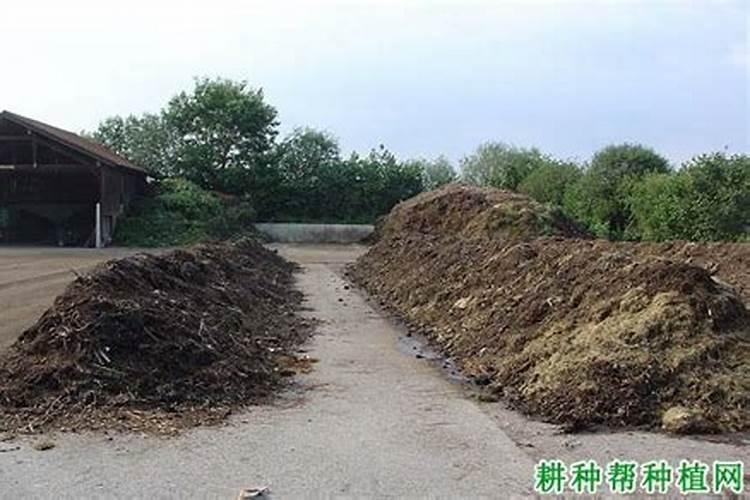 最简单的沤土沤肥方法