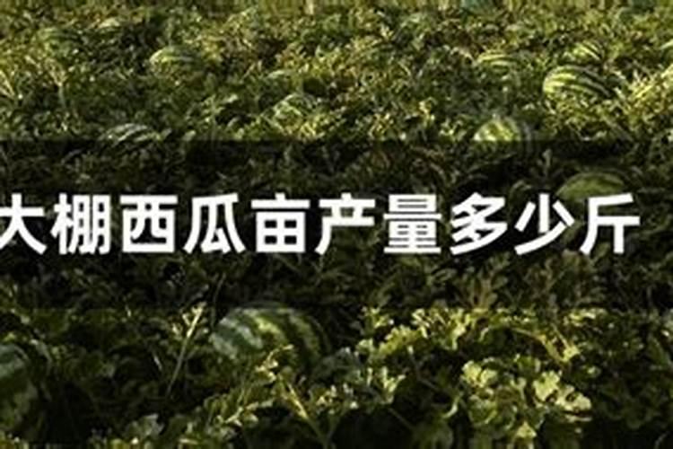 202020水溶肥配方计算(大量元素水溶肥配方表)