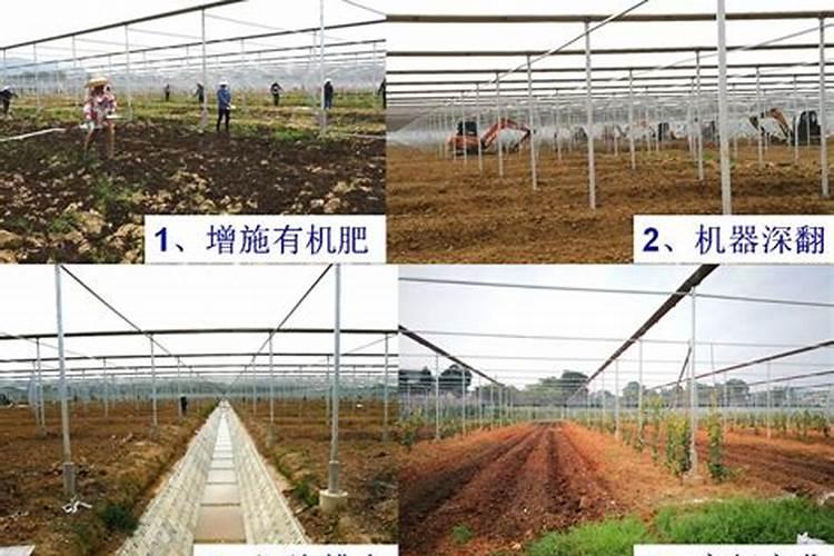 氨基酸螯合钙的优缺点？