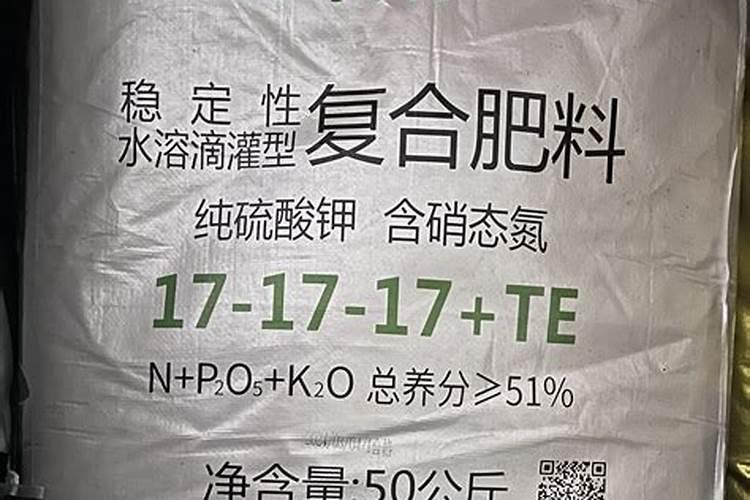 盆栽花卉出现黄叶病怎么办