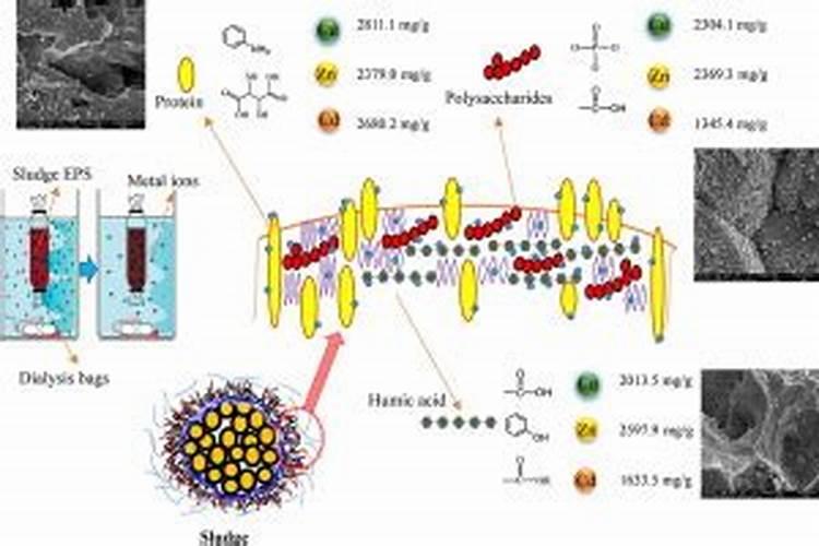 尿素适合哪些花？在缺肥症状出现以前施用防止烧根