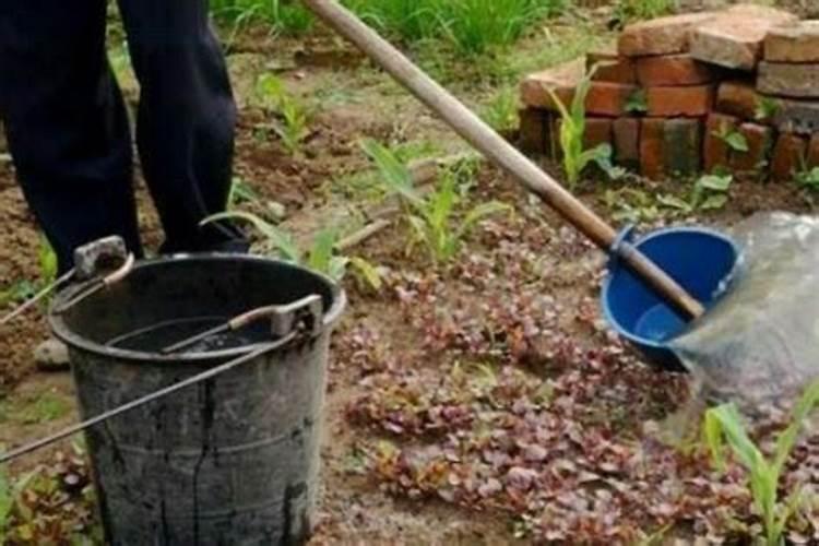 小麦一亩地能用多少化肥？