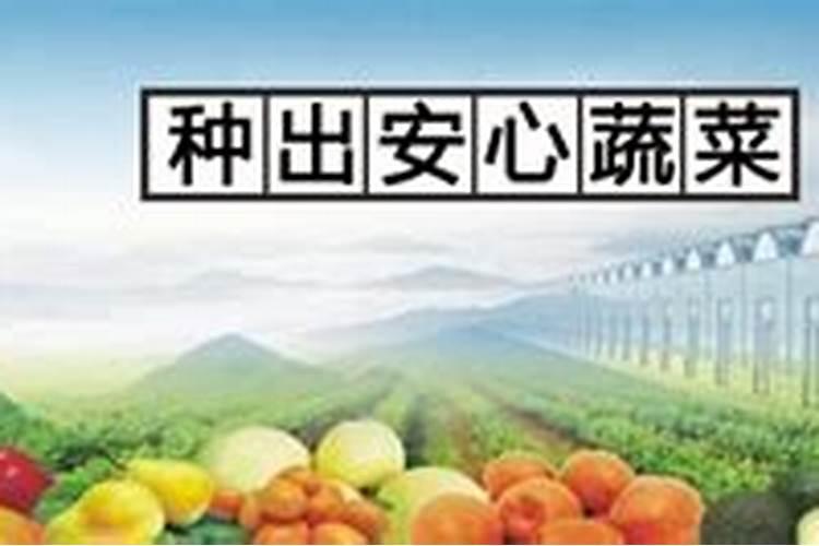 荔枝排寒的详细操作流程是怎样的