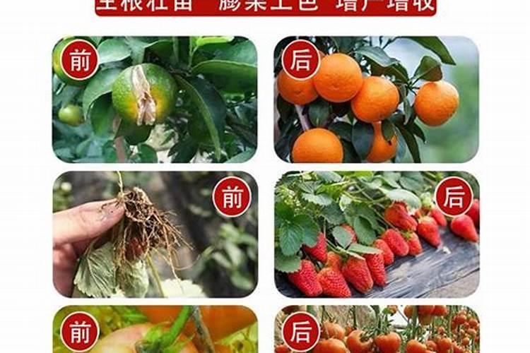 钾肥有哪些 钾肥是什么