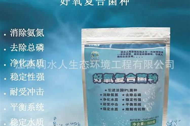 关于鱼缸培养硝化细菌的问题