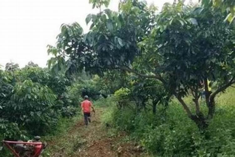 复合肥的主要成分是什么