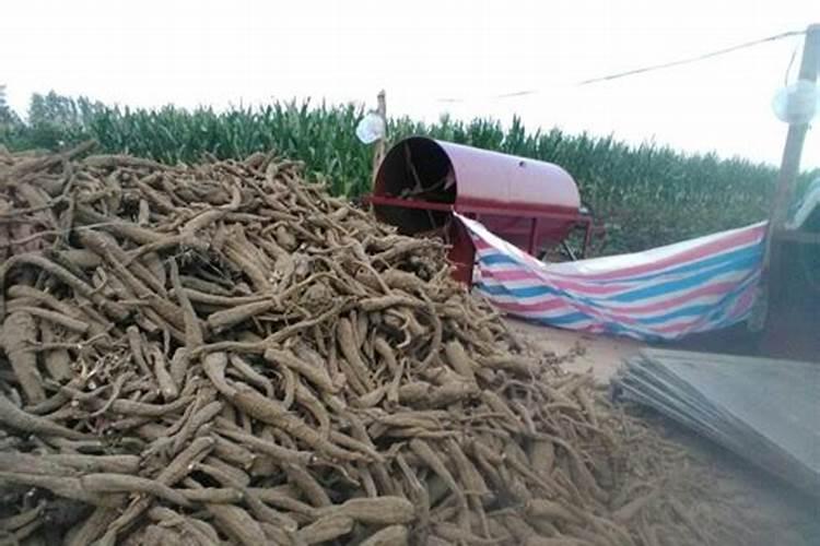 比较有机肥、化肥的优缺点,请说说园林中应如何合理施用？