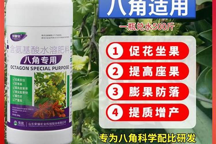 夏天到了,怎么给长寿花浇水,让长寿花生长旺盛