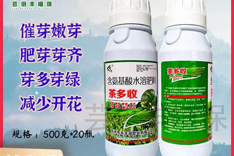 种生姜施什么肥料最好