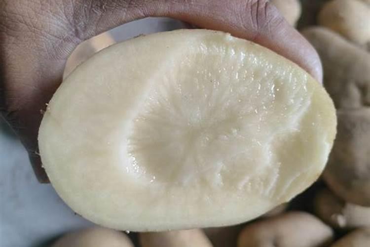 丁草胺蔬菜地使用方法