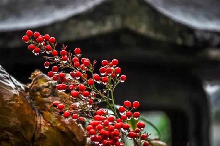 亿家福包子铺可以起吗