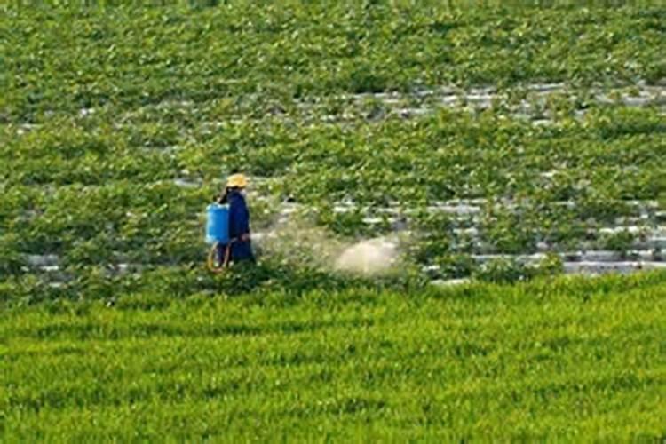 磷酸二氢钾跟什么搭配最好
