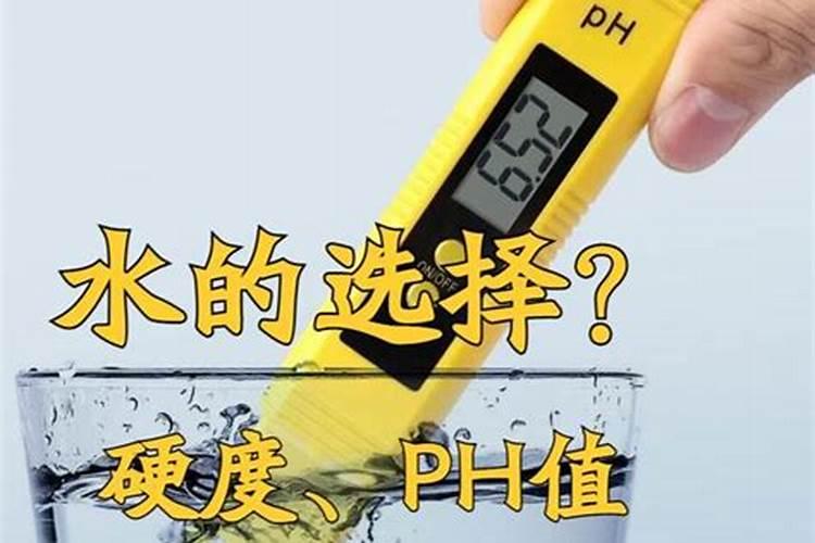 大葱什么时候追肥合适,高产追肥方法