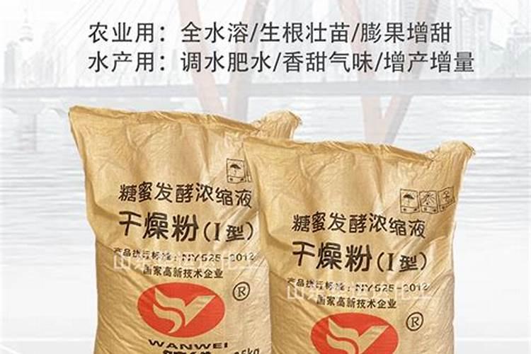 吉林集安特产:集安山葡萄