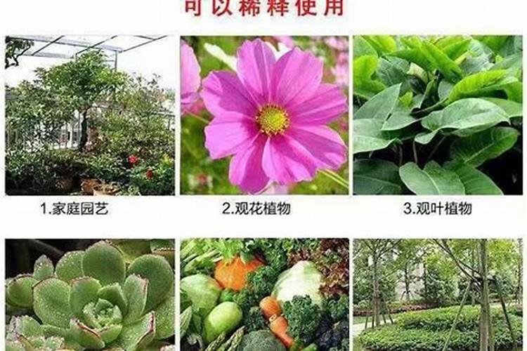 氧化钾是钾肥吗？和氯化钾和硫酸钾有什么区别？