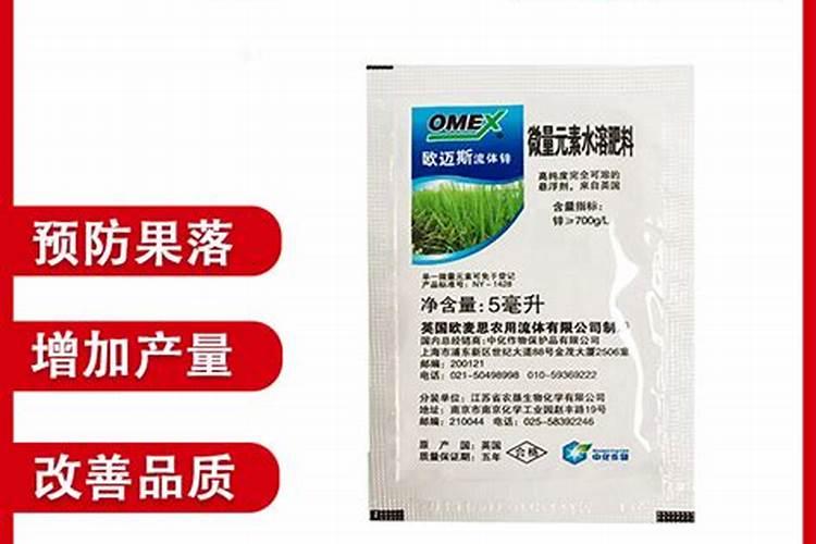 地雷西瓜品种大全